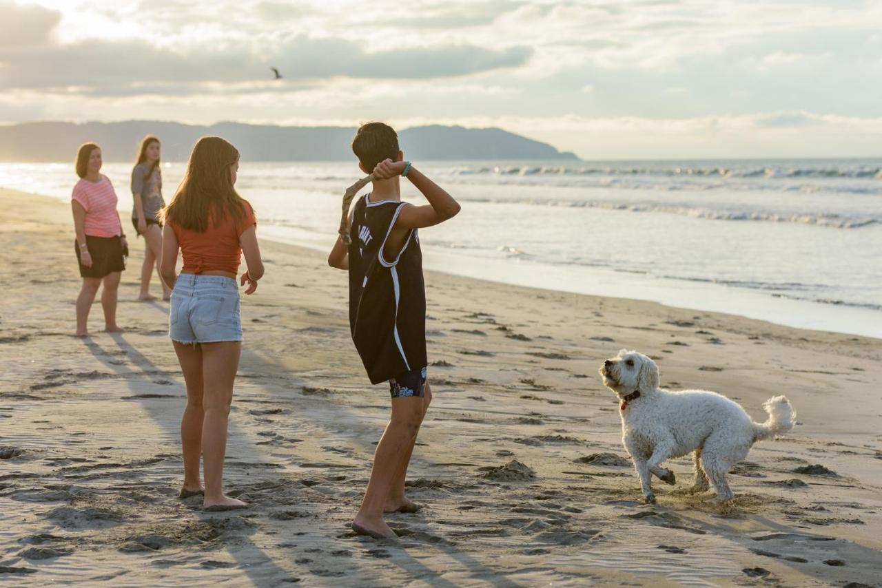 Ohope Beach Top 10 Holiday Park Eksteriør billede